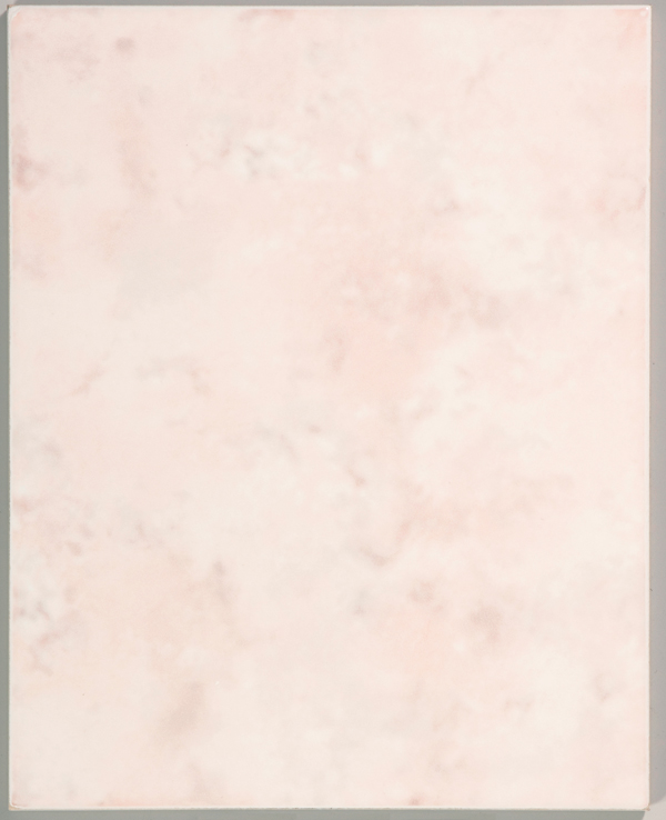 フィオーレ250×200
